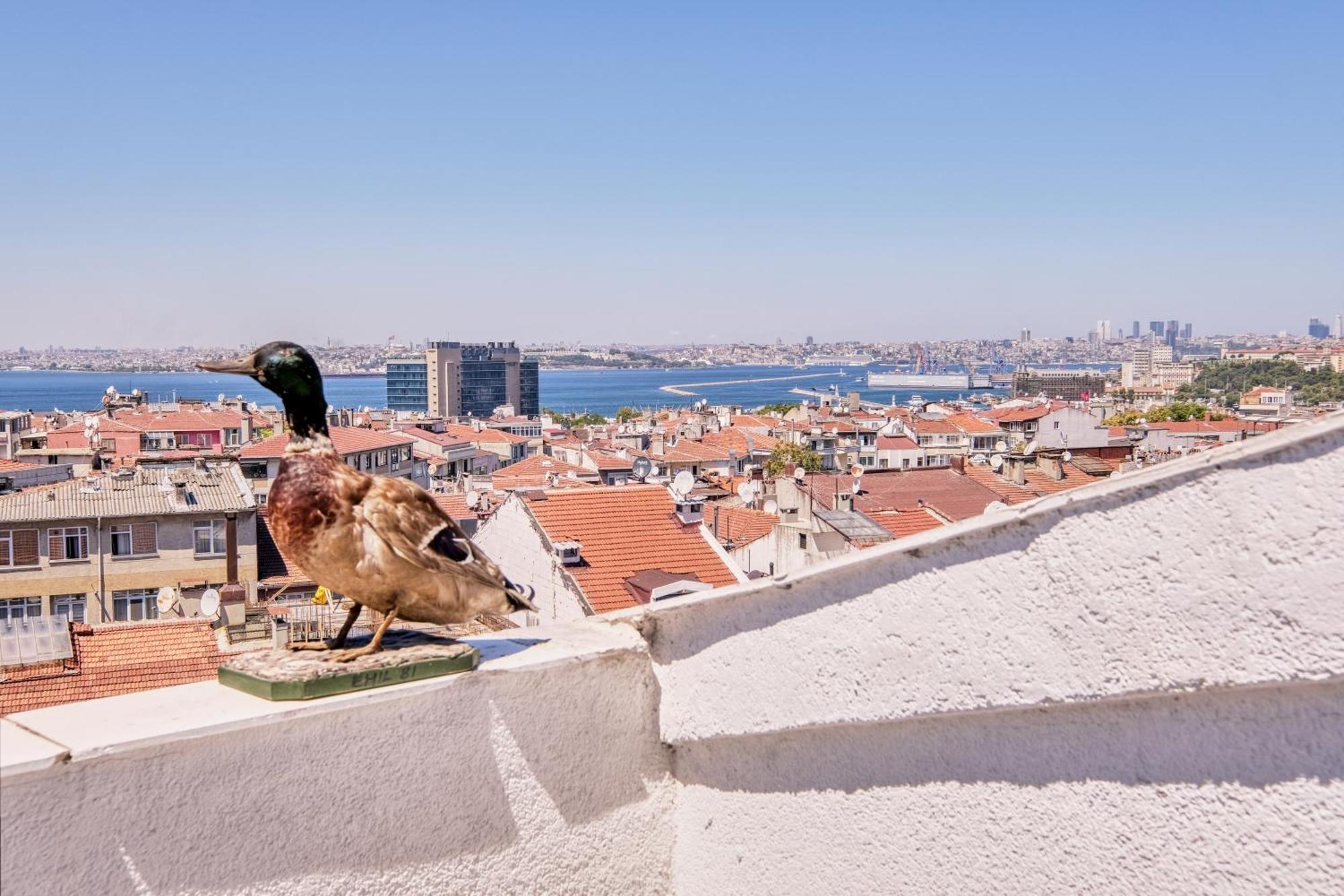 Duck Otel Istanbulská provincie Exteriér fotografie